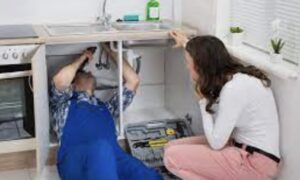 How To Choose A Reliable Plumber For Your Home