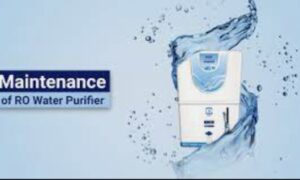 Regular Service And Maintenance Will Increase The Life Of Your RO Water Purifier