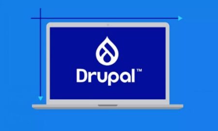 How to Manage a VPS Drupal Site for Maximum Efficiency