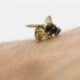 The Dangers of Bee Stings What You Need to Know