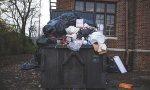 skip bin