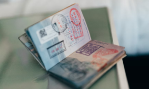 Introduction to Citizenship by Investment What It Is and How It Works