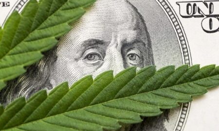 Strategies for Saving Money When Shopping at a Cannabis Dispensary