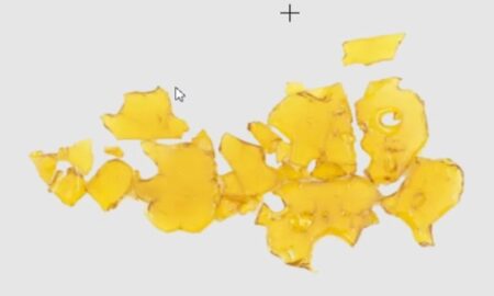 Essential Information About Cannabis Extracts in Canada You Need to Know