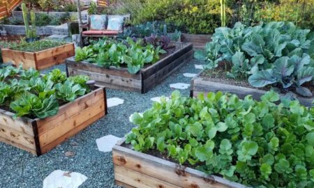 The Benefits of Raised Garden Beds for Small Space Gardening: How to Maximize Your Garden Space