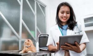 Enhancing Pet Health And Well-Being A Glimpse Into Veterinary Practice