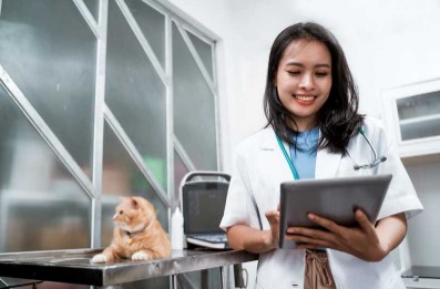 Enhancing Pet Health And Well-Being A Glimpse Into Veterinary Practice