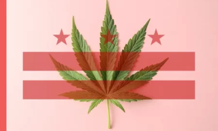 The Highs and Lows of Legal Weed in Washington D.C.