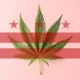 The Highs and Lows of Legal Weed in Washington D.C.