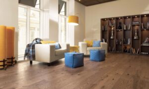The Ultimate Guide to Cleaning and Maintenance