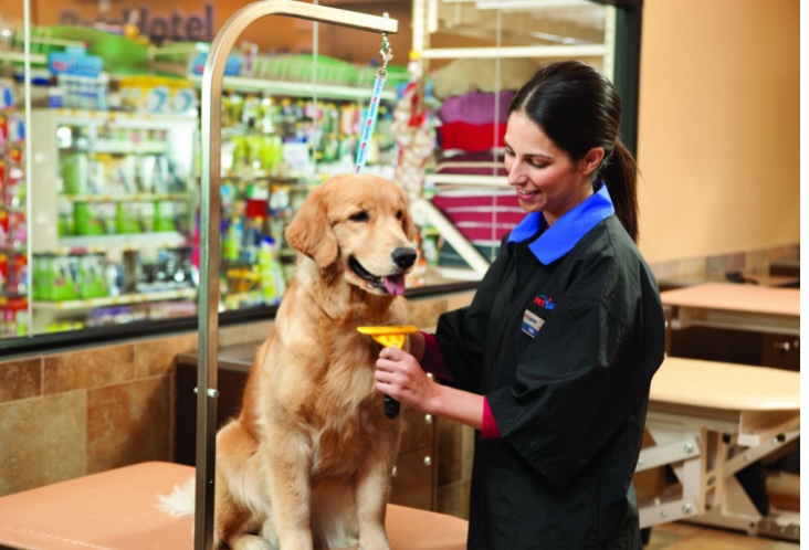 Best Reasons to Use Petsmart Grooming Coupons and Treat Your Pet