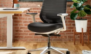 Enhance Your Workspace with a Premium Ergonomic Office Chair