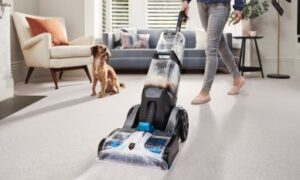 The Magic of Professional Carpet Cleaning Services