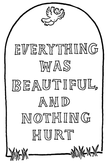 everything was beautiful and nothing hurt