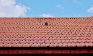 What to Do When You Have Broken Roof Shingles