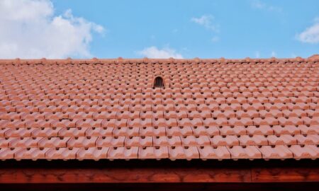 What to Do When You Have Broken Roof Shingles