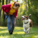 5 Pet Safety Tips Every Owner Should Know