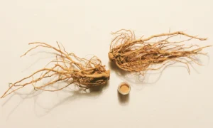 WellHealthOrganic’s Guide to Balancing Hormones Naturally