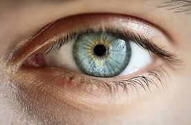 Top Ways to Keep Your Eyes Healthy for Life