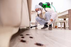How Professional Pest Control Services Can Safeguard Your Property